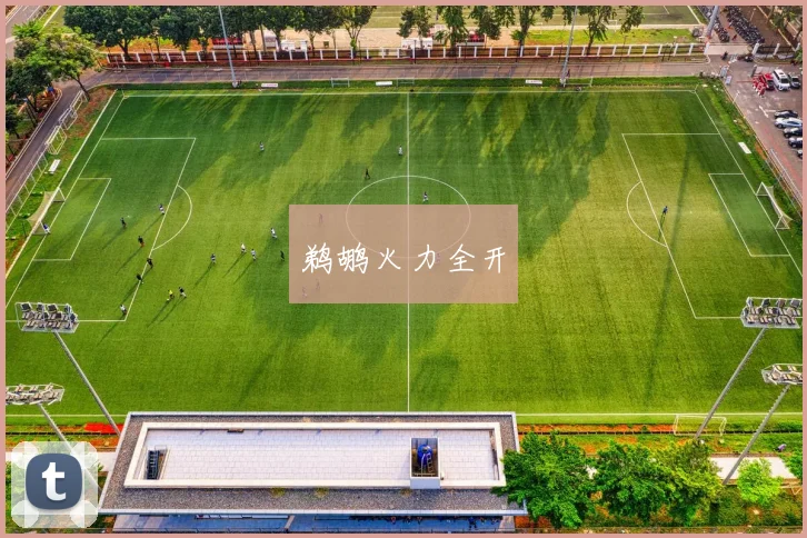 鹈鹕火力全开
