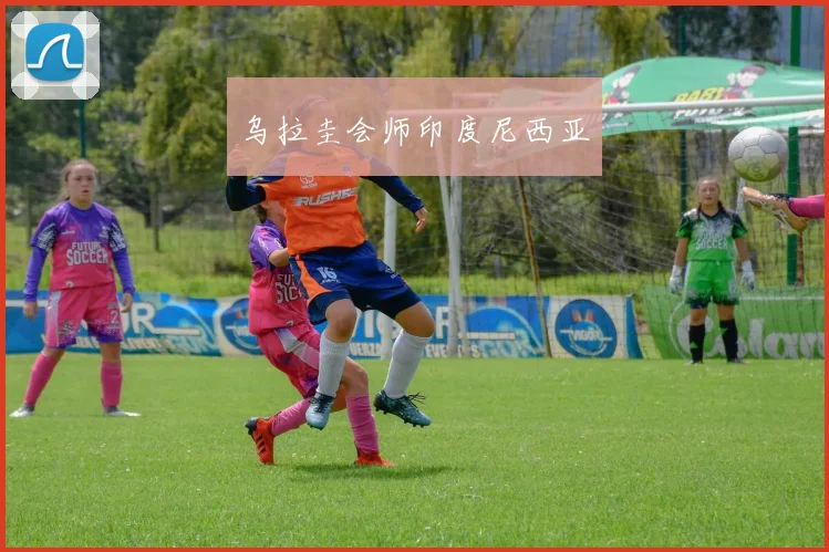 乌拉圭会师印度尼西亚