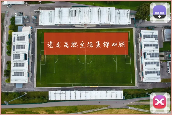 谌龙高燃全场集锦回顾