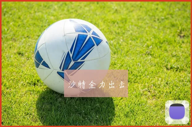 沙特全力出击