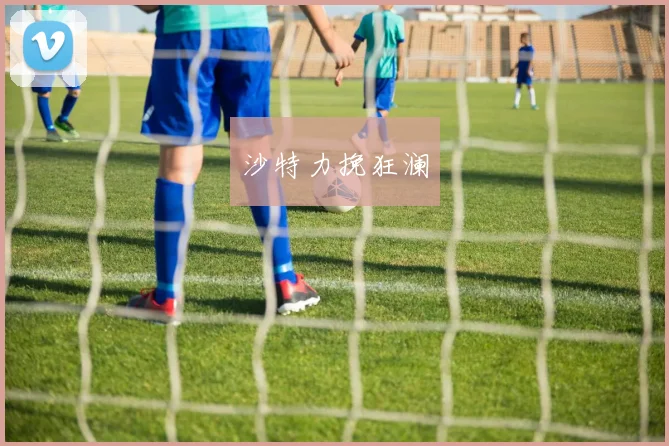 沙特力挽狂澜