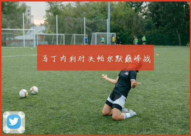 马丁内利对决帕尔默巅峰战