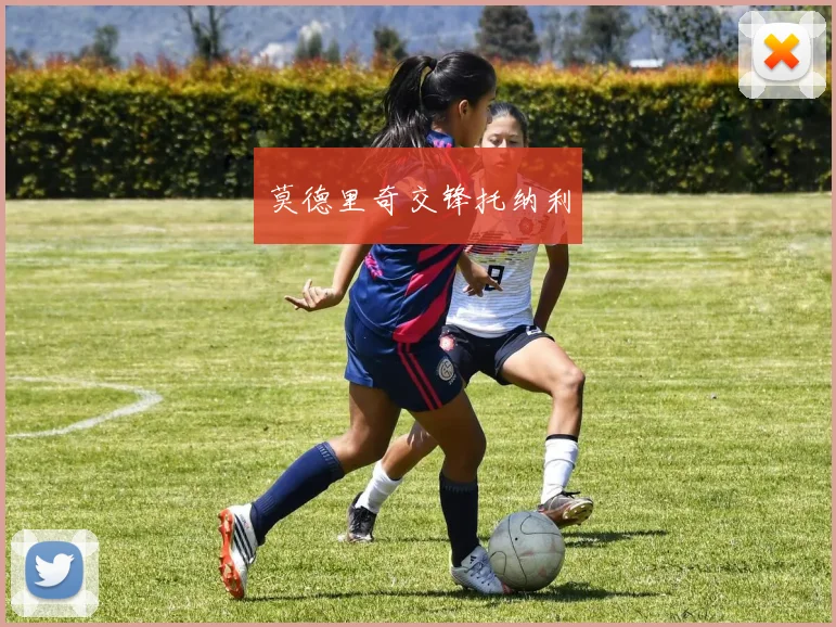 莫德里奇交锋托纳利