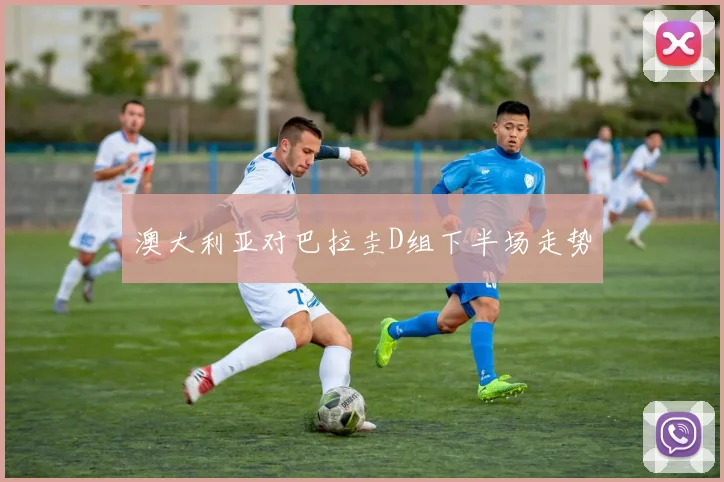 澳大利亚对巴拉圭D组下半场走势