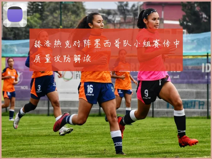 赫洛热克对阵墨西哥队小组赛传中质量攻防解读