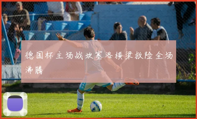 德国杯主场战坎塞洛横梁救险全场沸腾