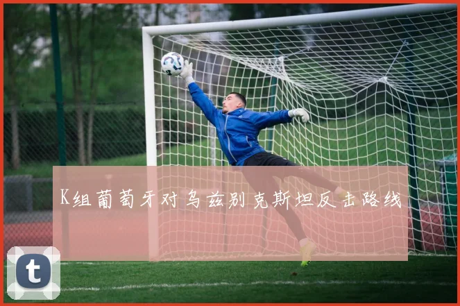K组葡萄牙对乌兹别克斯坦反击路线