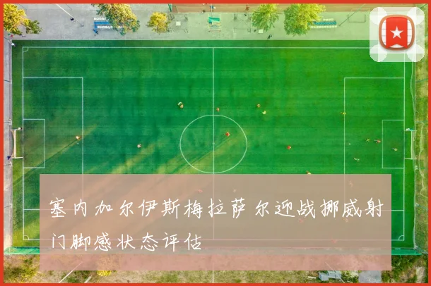 塞内加尔伊斯梅拉萨尔迎战挪威射门脚感状态评估
