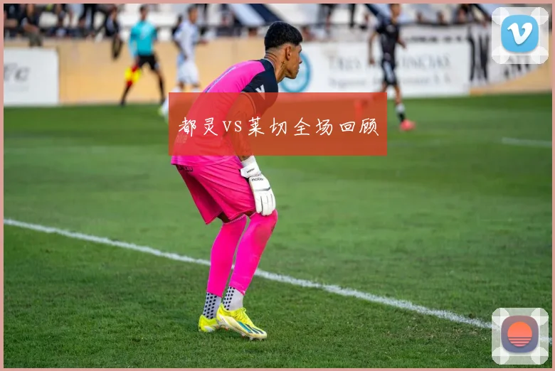 都灵vs莱切全场回顾